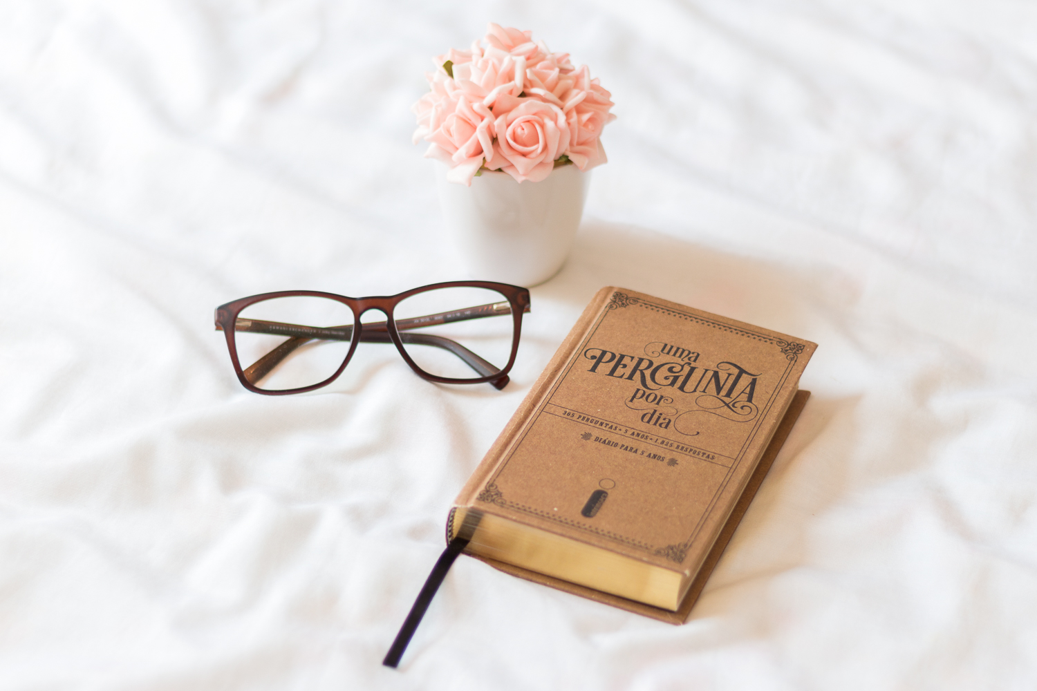 Livro uma pergunta por dia - QaA a day