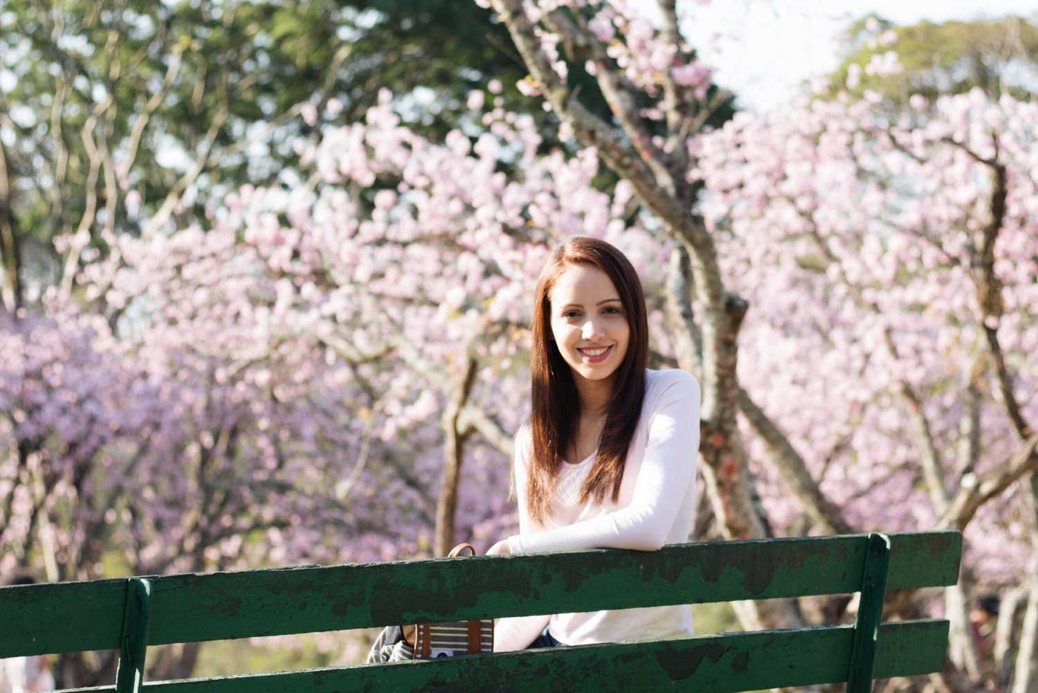 sakuras no inverno