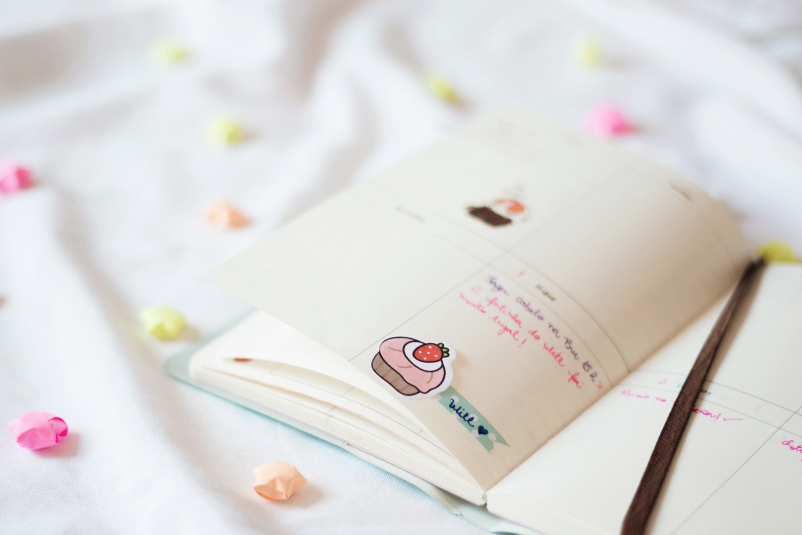 Planner Molang Diary