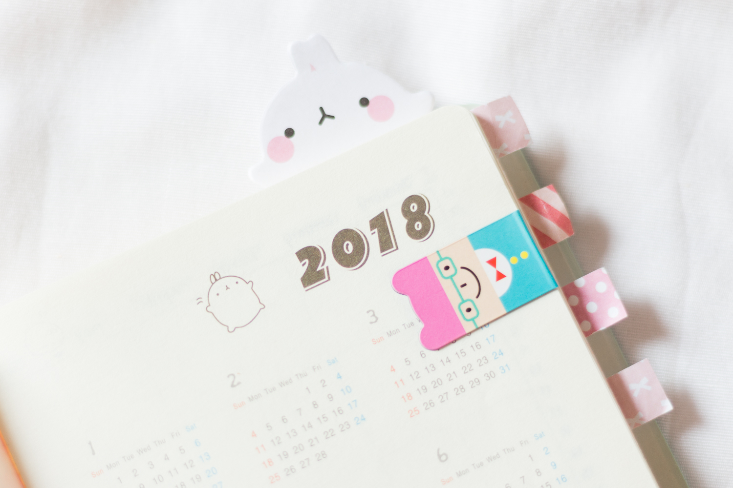 Planner Molang 2018