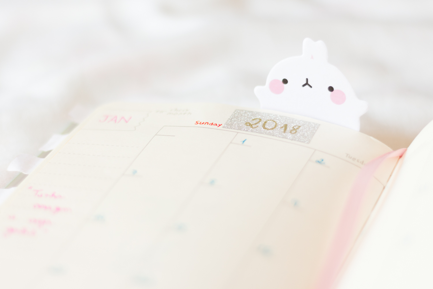 Planner Molang